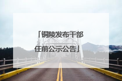 铜陵发布干部任前公示公告
